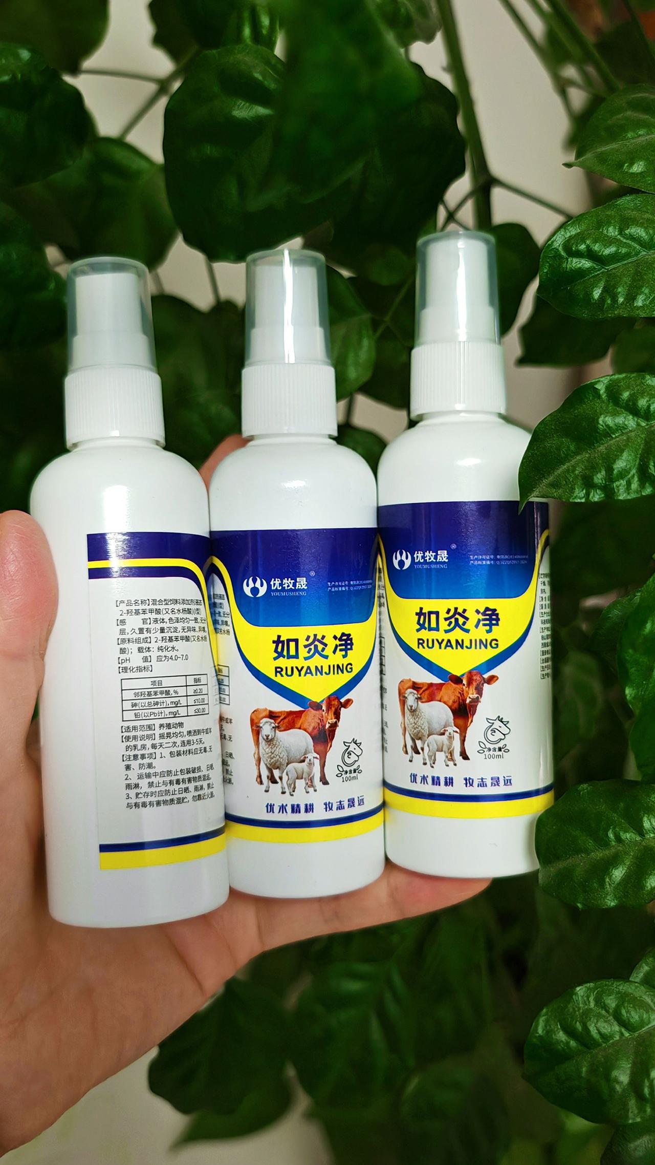 养羊人农村养羊牛羊养殖