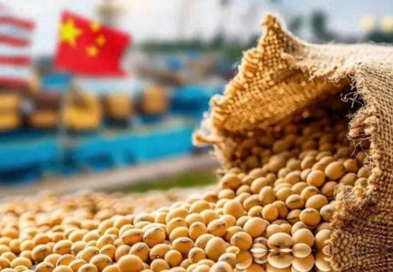 中美差距究竟在哪？美国科学之强大，远远超出想象，不仅没有衰退，还会在今后的几十年
