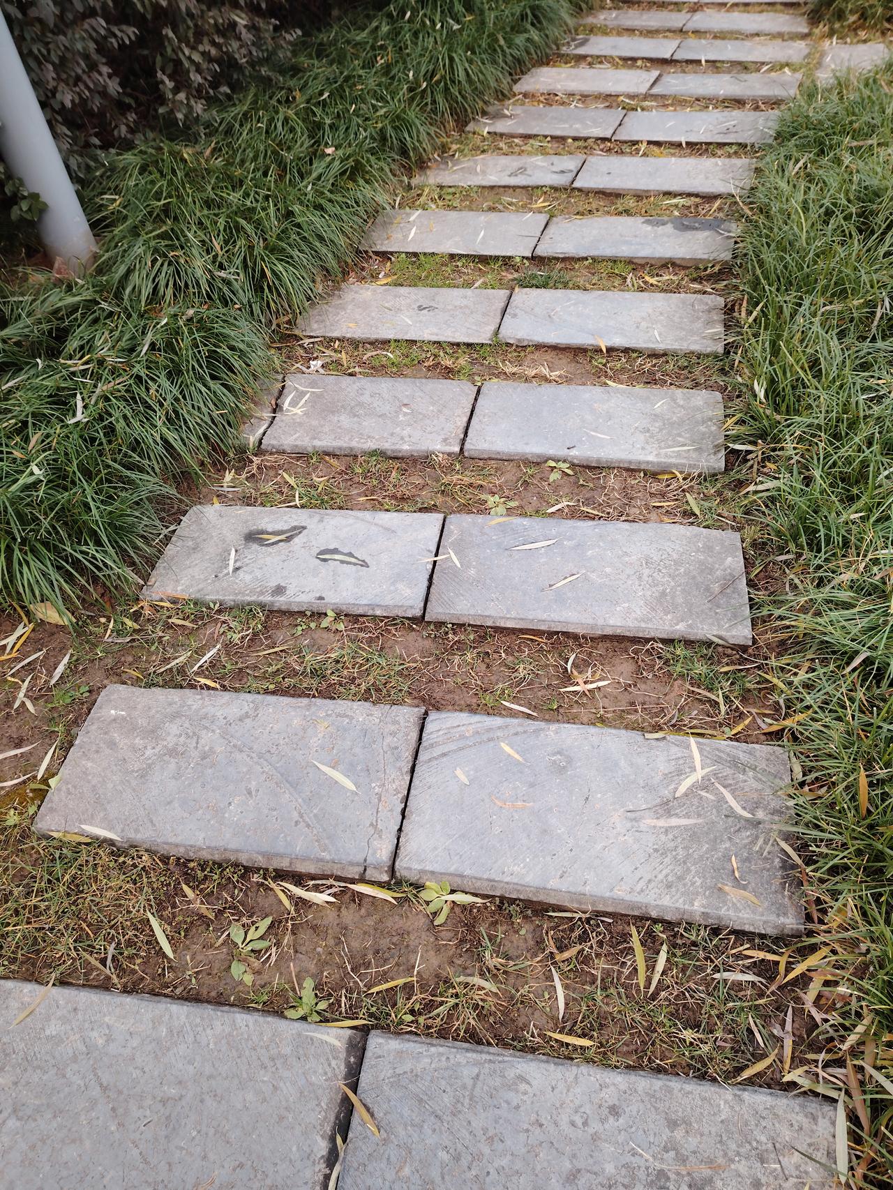 退休后,你成了什么“师”?作为一名退休退休教师，我没有什么生活技能，肩不能跳，