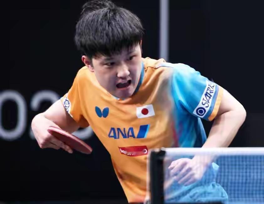 日本队输法国，第一责任人是张本智和！成都混合团体世界杯，日本队战法国队，混双、女