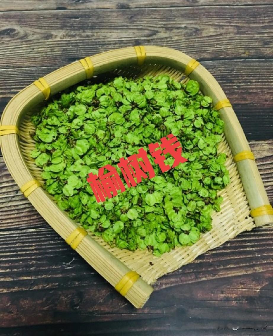 今年春天最想实现的愿望嘴馋了:今年春天最想实现的心愿就是能吃到鲜嫩的榆树钱