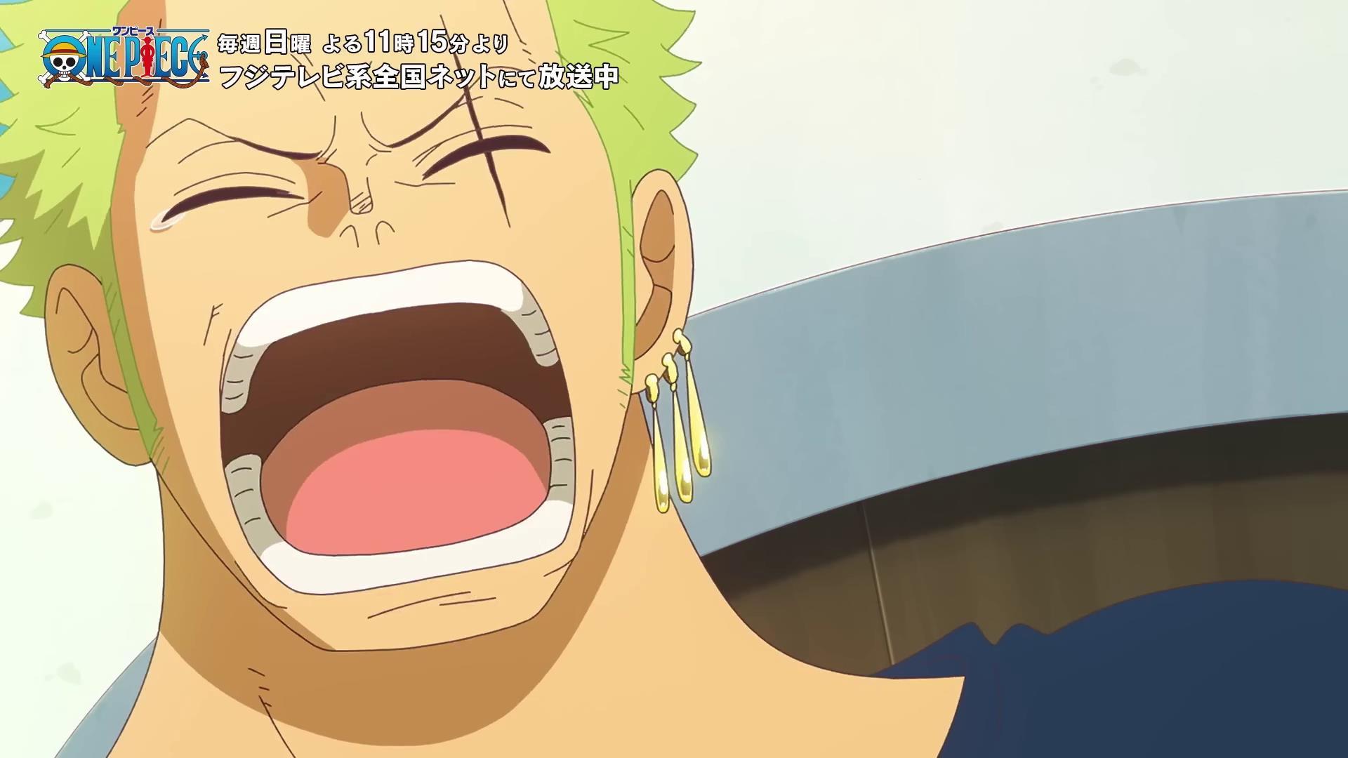 海贼王海贼王打哈欠会传染