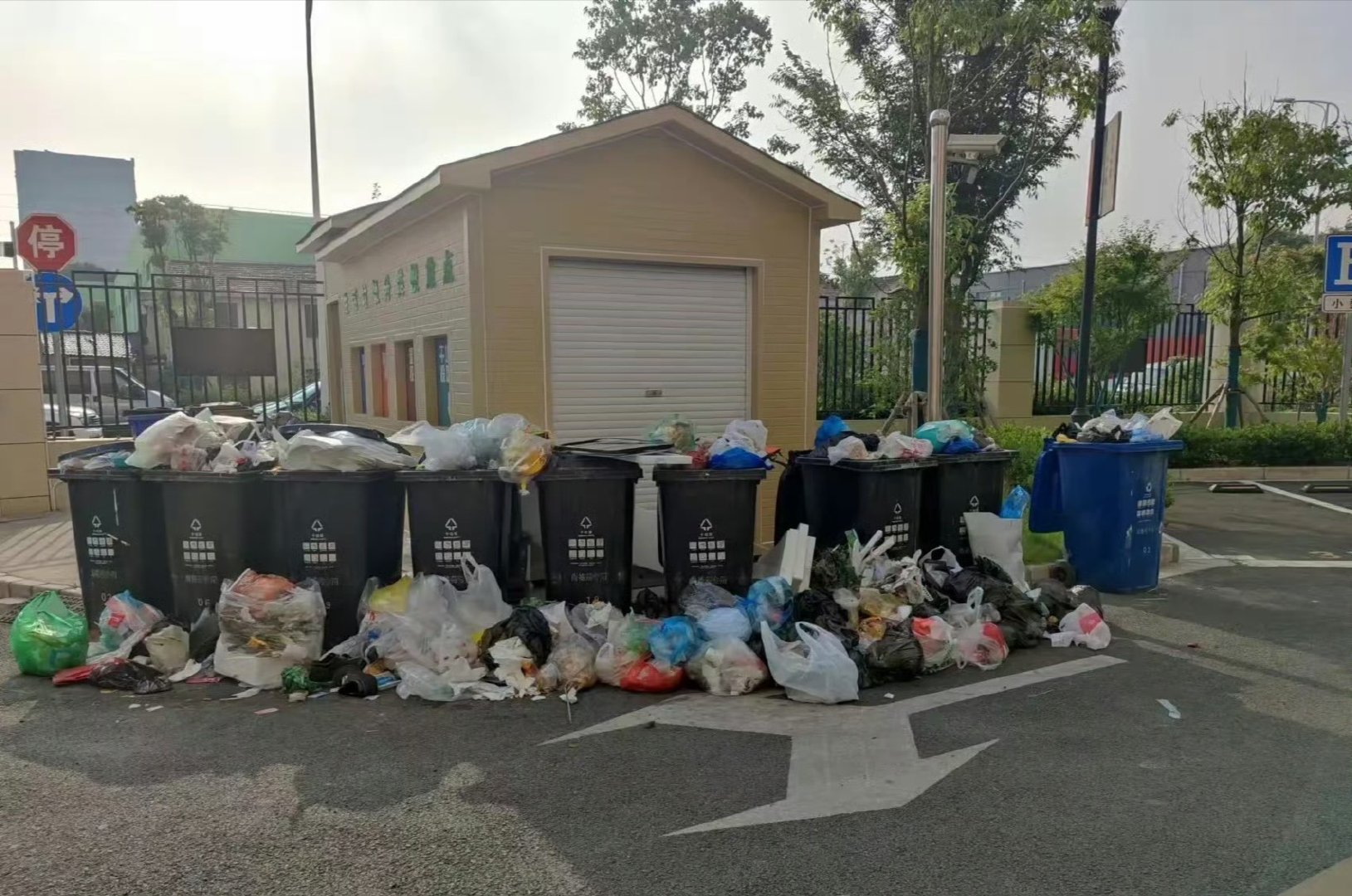 某地小区，业主集体“投票”将物业赶走。然后垃圾没人倒，业主又找媒体要解决。西方“冥煮”的劣根性，此刻