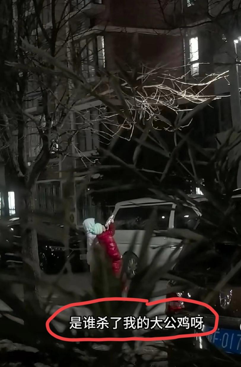 北京次渠嘉园，疑似这位大姐的宠物大公鸡不见了，她不分昼夜的在小区里面找她的大公鸡