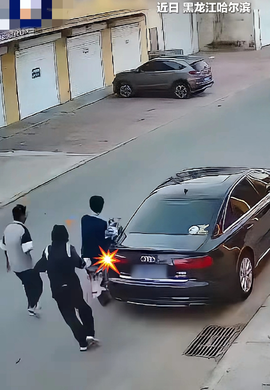 “这下好了，全国人民都知道了！”黑龙江哈尔滨几名中学生在路上嬉戏打闹，其中一名穿