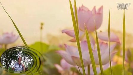 二胡一帘幽梦简谱_三版二胡 一帘幽梦 带你回味老歌 附简谱