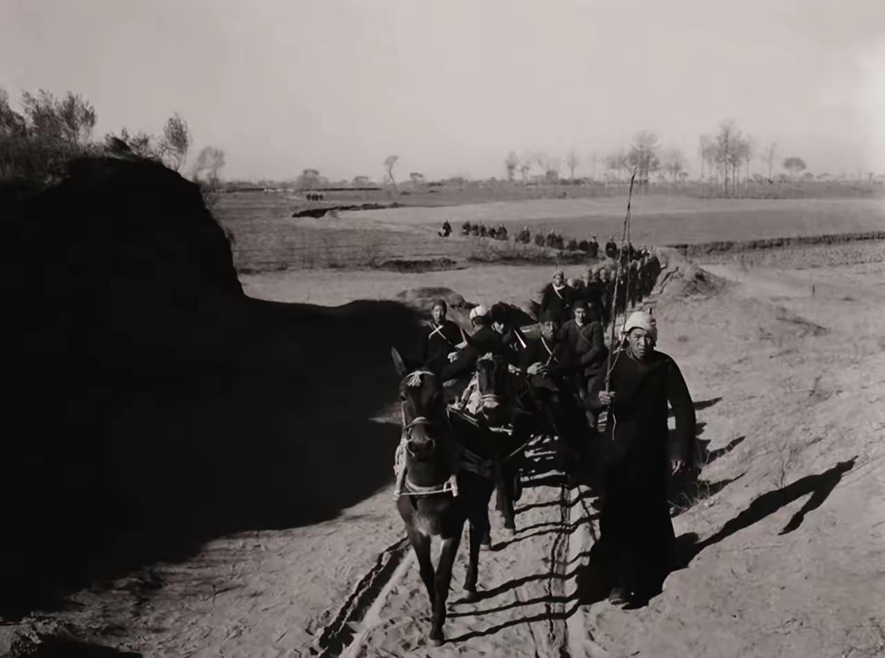 1942年，八路军女侦察员重伤潜入敌占莱芜求医，老中医掀开衣袖惊呼：“这是战场枪