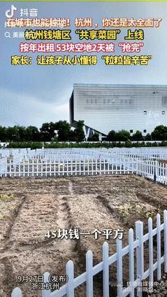 “怎么这么会挣钱！”9月29日浙江杭州，一家公司经搞了一块“共享菜园”，将城中空