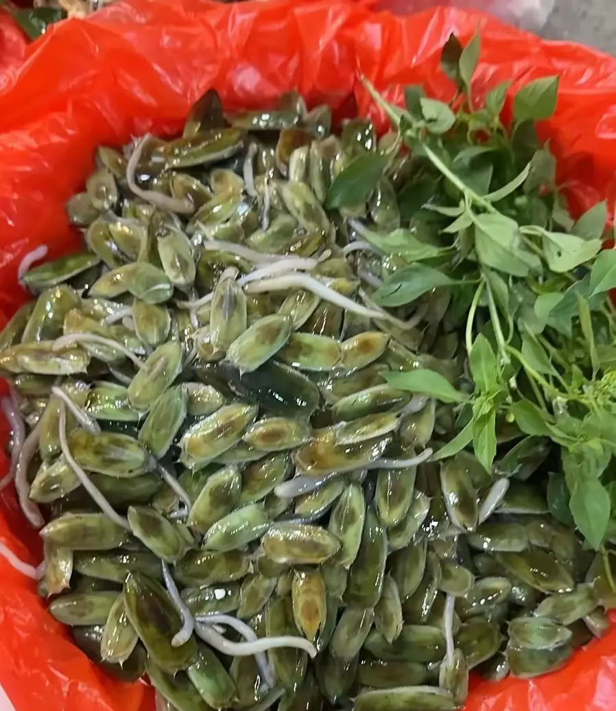 问了一圈没人吃过的美食大家知道这个叫什么吗？？？