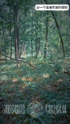 俄军士兵在树林中发现了一架来袭的乌军光纤自杀式无人机，待其飞过自己后，一名俄军士