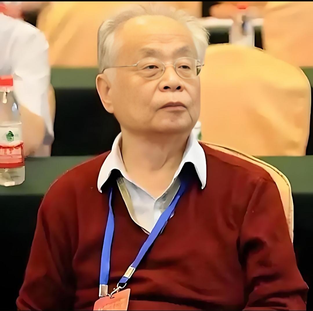 看到项立刚的说法，真是令我很震惊。项先生在没有深入研究的情况下，就将何老院士批