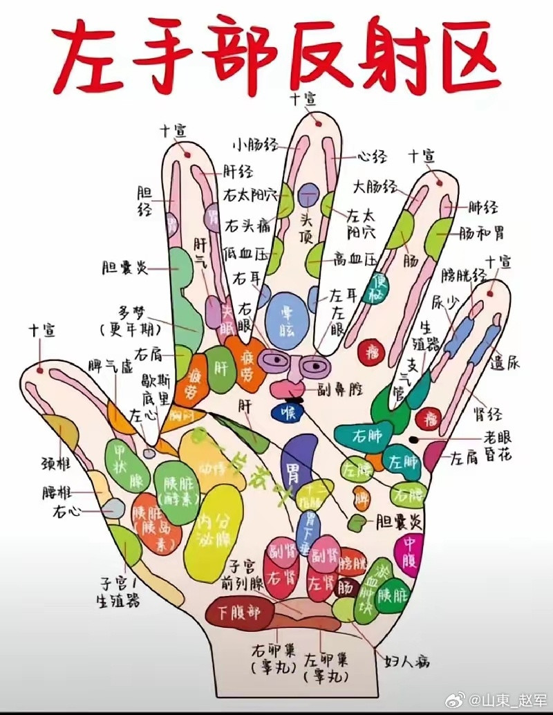 中医手诊口诀学悟中医，入门在手，一看二摸三记牢1. 手心汗多肺脾虚，指肚发红血脂