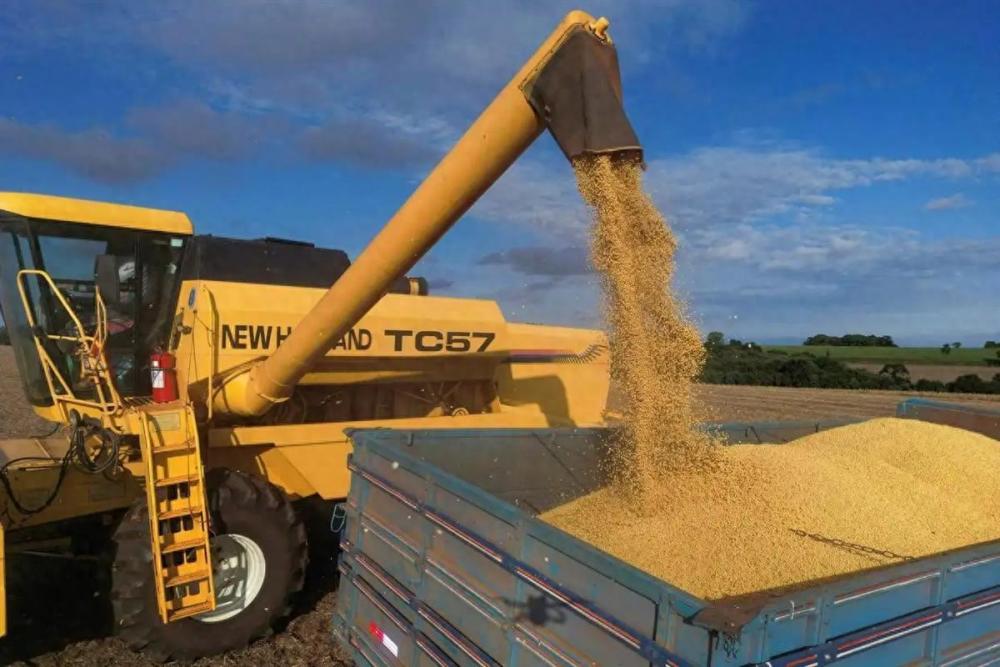 一艘满载6.9万吨巴西大豆运到家门口，被我们原路退回！巴西农业部说了，中国在一