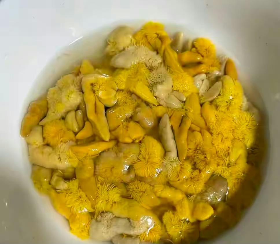 小龙虾里的，有人说是黄，有人说是屎，有人说是卵巢，有人说是肺，有人说是籽。反正我