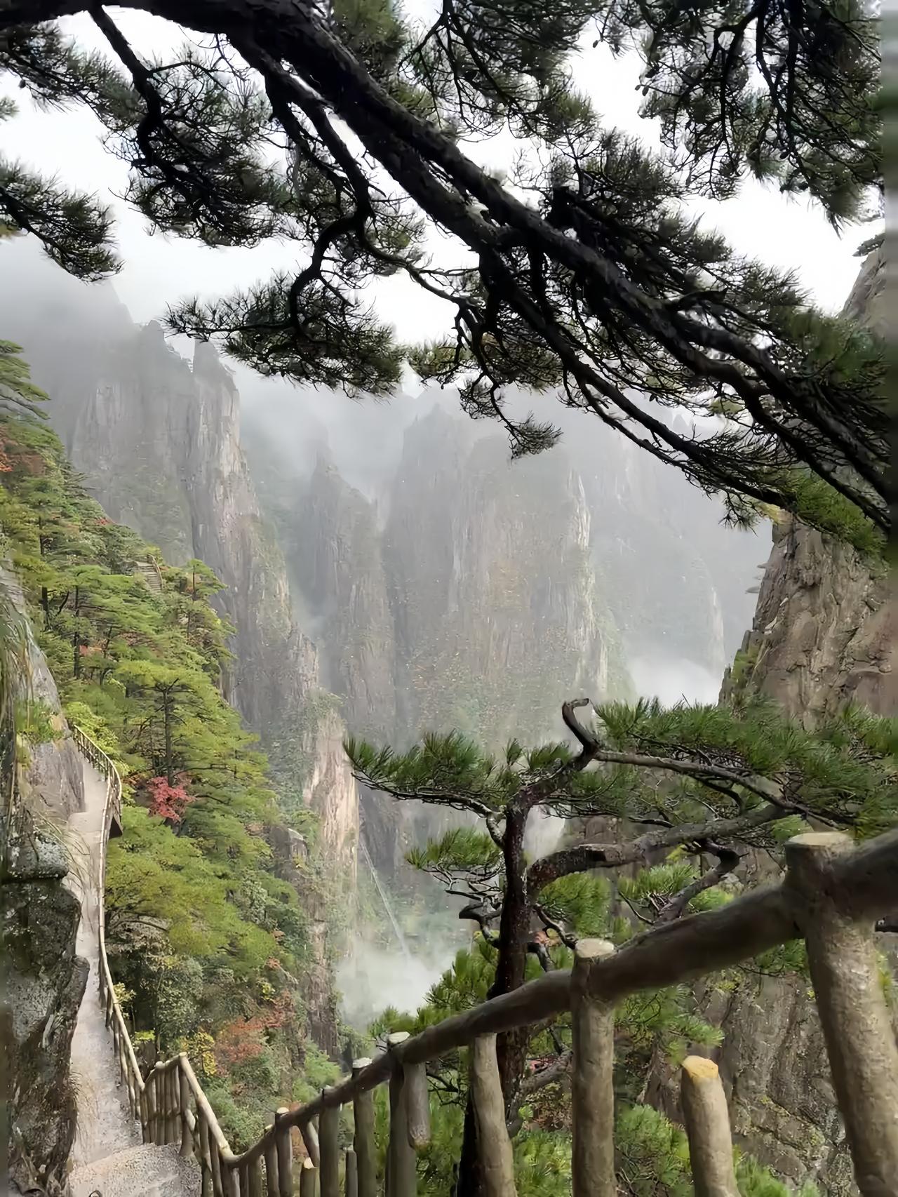 黄山与庐山，本就不是同一种旅行总有人执着于把黄山和庐山放在一起比较，可在我