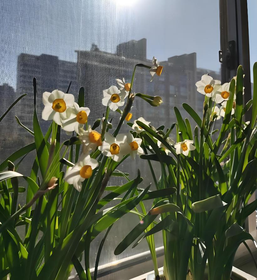 性学专家李银河曾说：爱的最高境界是互爱，中间状态是单恋，最差状态是无爱。如果