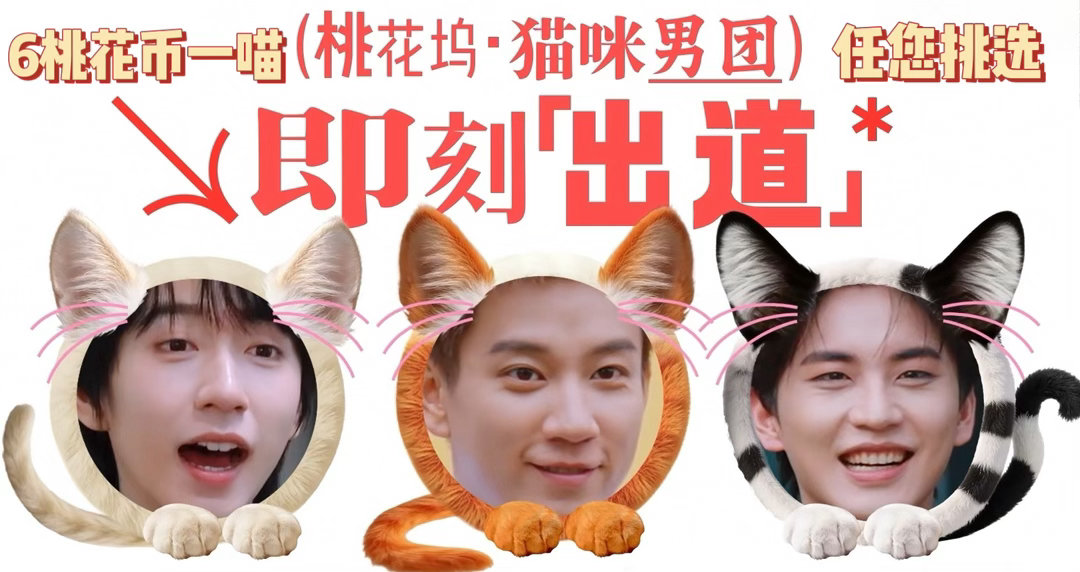 桃花坞闹猫了五十公里桃花坞桃花坞正式更名为猫咪收容所，全员喵化营业中，我已经分