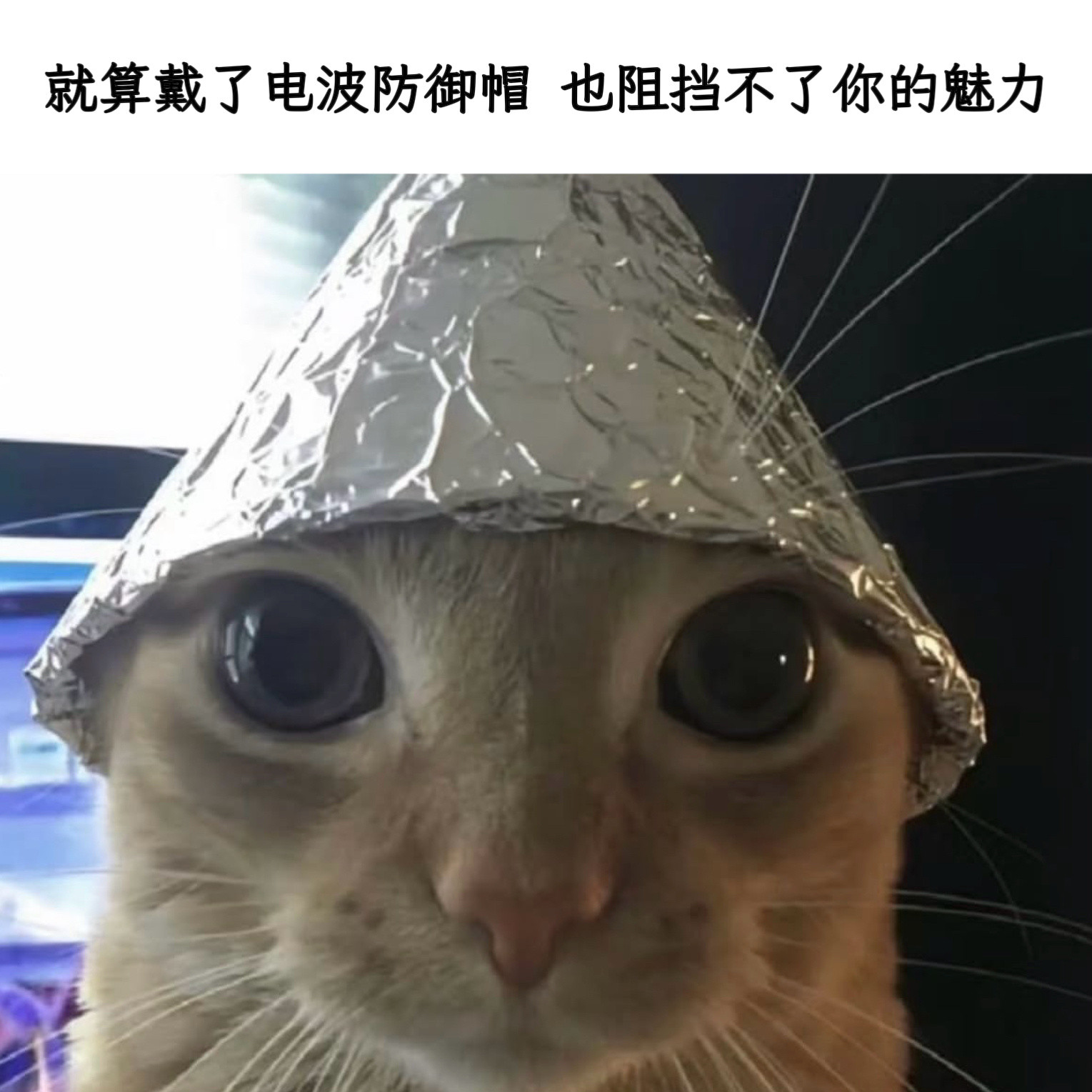 我搭讪memes​​​