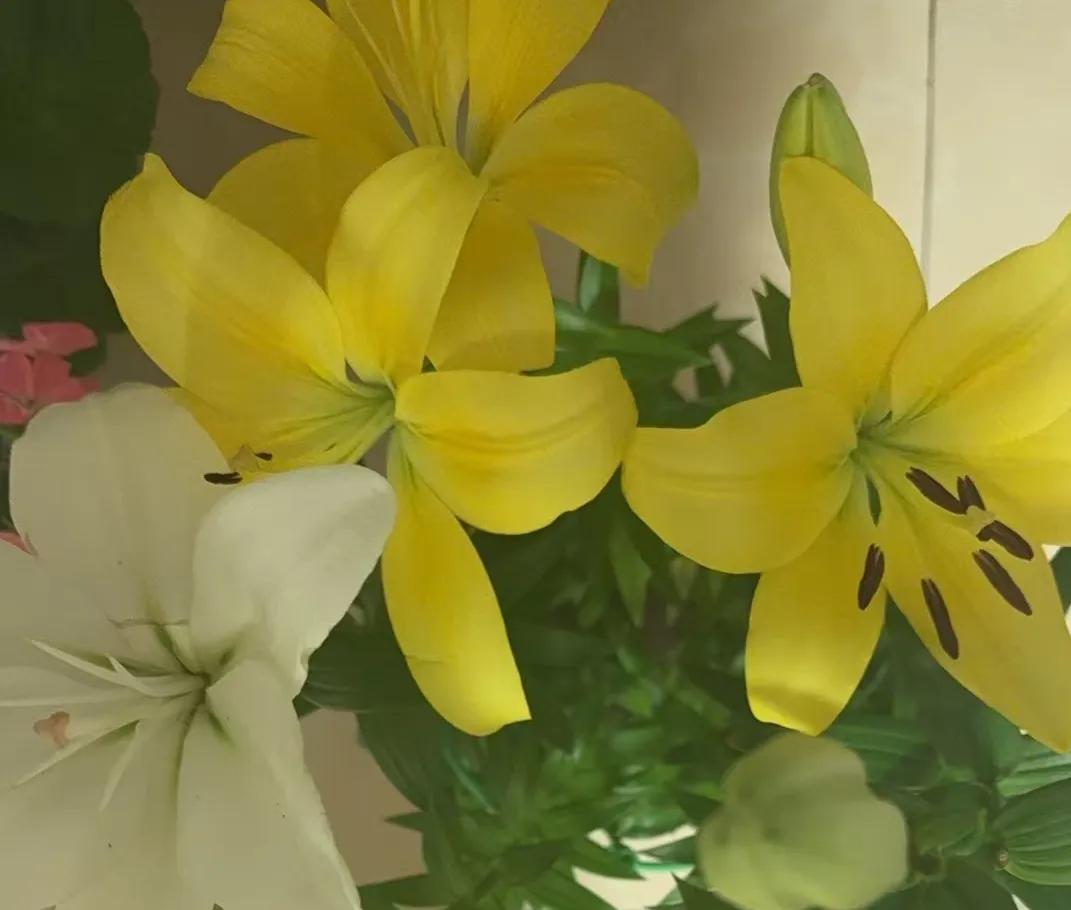 得罪人的最高境界就是，他缺什么，你就炫耀什么。