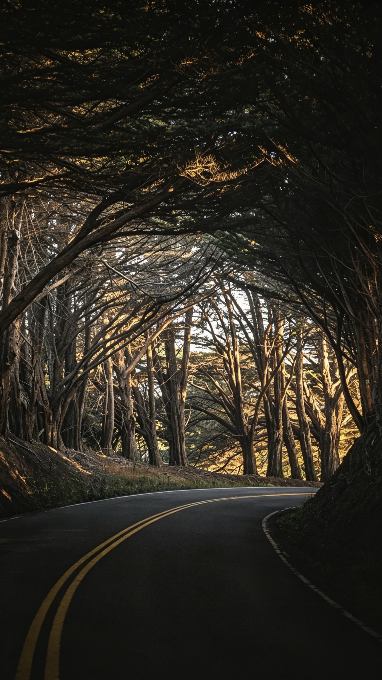 富有哲理的一段话：“有的人爱小动物，他会把小动物当成一个生命、一个朋友、一个亲