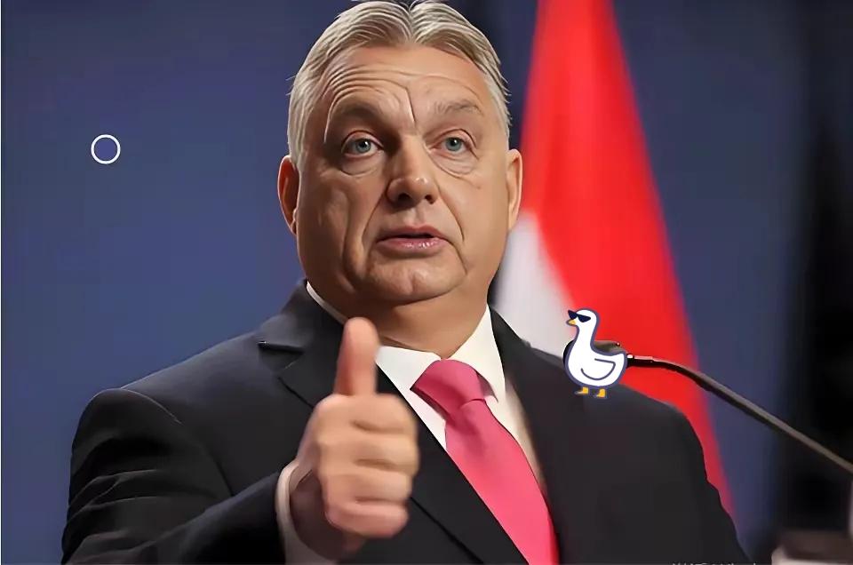 匈牙利公开宣布了​据匈牙利媒体12月17日消息，匈牙利总理欧尔班对记者表示，对