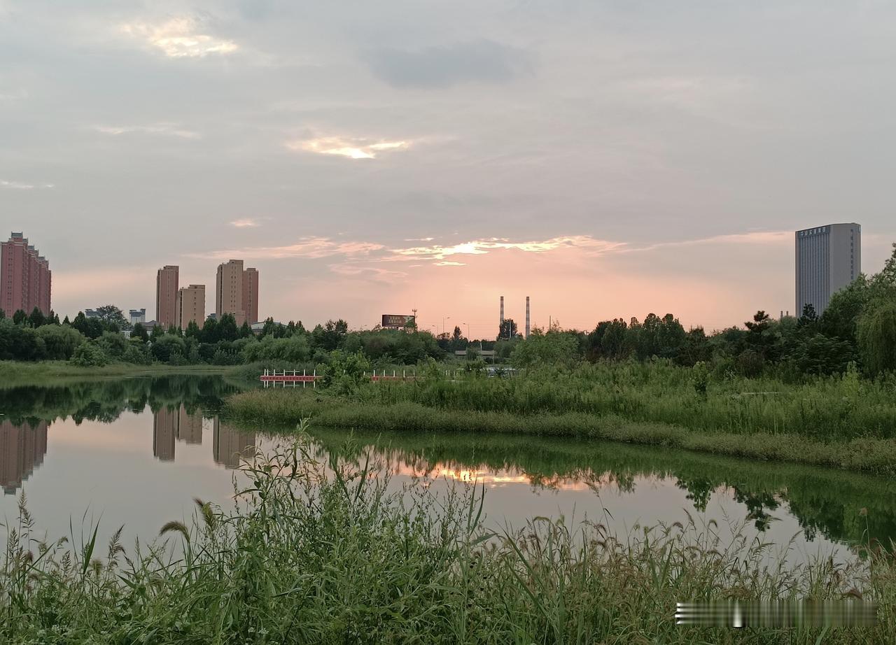 荷花湖夕照……（图片：拍摄于沙河市·荷花湖2026-8-15）