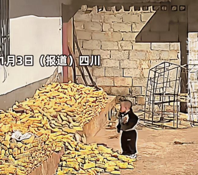 “祸闯大了！”四川，一名妈妈带着宝宝在院子里玩耍，妈妈在一旁看手机，宝宝则是在屋