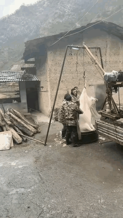 年末就是二师兄的难日[捂脸哭]