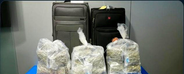 标题：机场安检大漏勺！毒品随便过关太可怕太离谱了！机场安