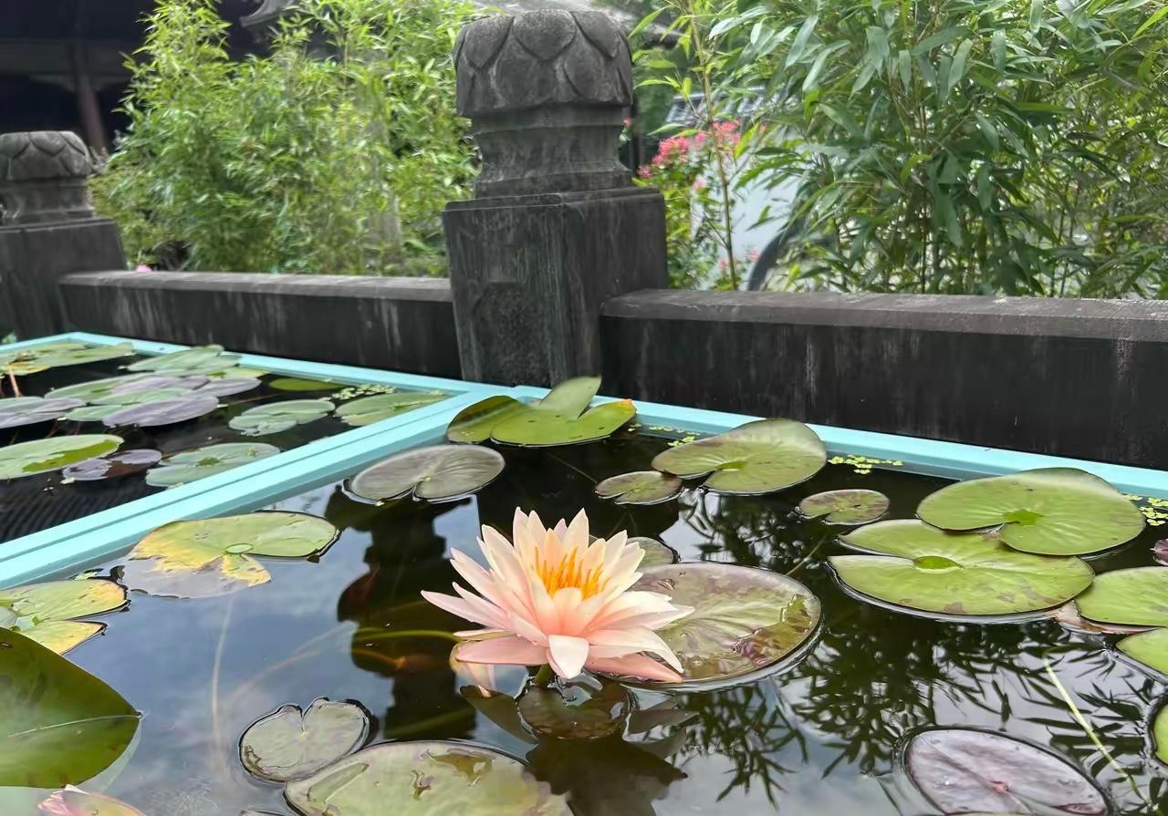 选股思路和操作心得1、首先炒股是一种修炼，这个主要讲的是对抗人性的贪婪，恐惧，耐