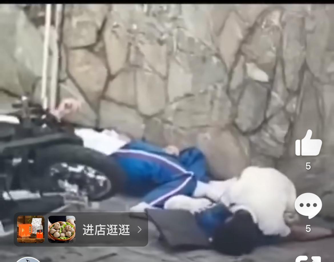 上午买九号电瓶车，下午火葬场，两个撞墙，都挂了。据说是7月12号的事，孩子毕业了