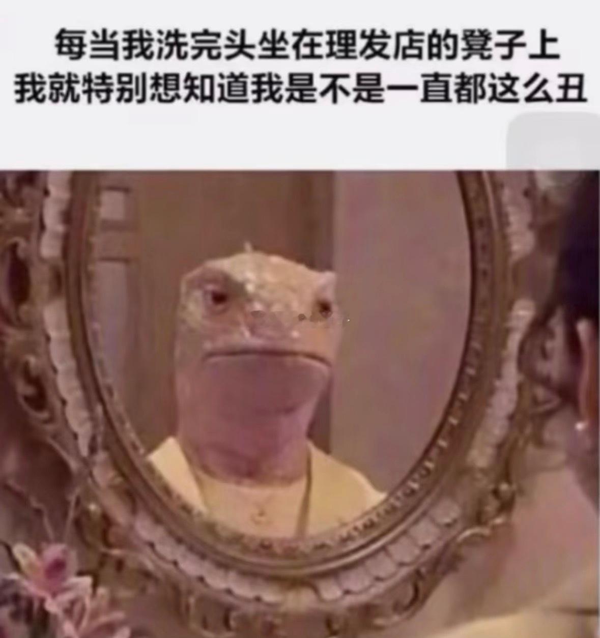 这是我老婆给我看的搞笑图其实我坐在理发店凳子上不这么觉得，但是她说她真的是这么想
