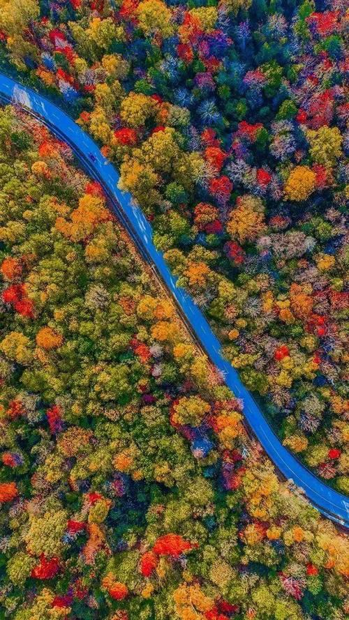上联：风吹春柳一堤绿，邀下联霜染秋山万点红