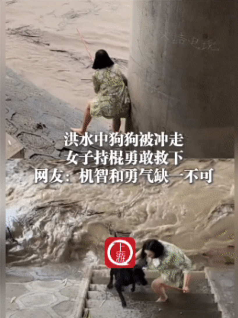 狗好，人也好！湖南，一只狗狗被洪水冲入河里，它嘴里叼着空瓶子，不让自己沉下去，主