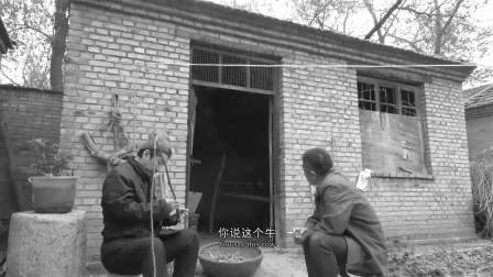 老翁失牛,福祸相依,《牛之晚春》温情预告