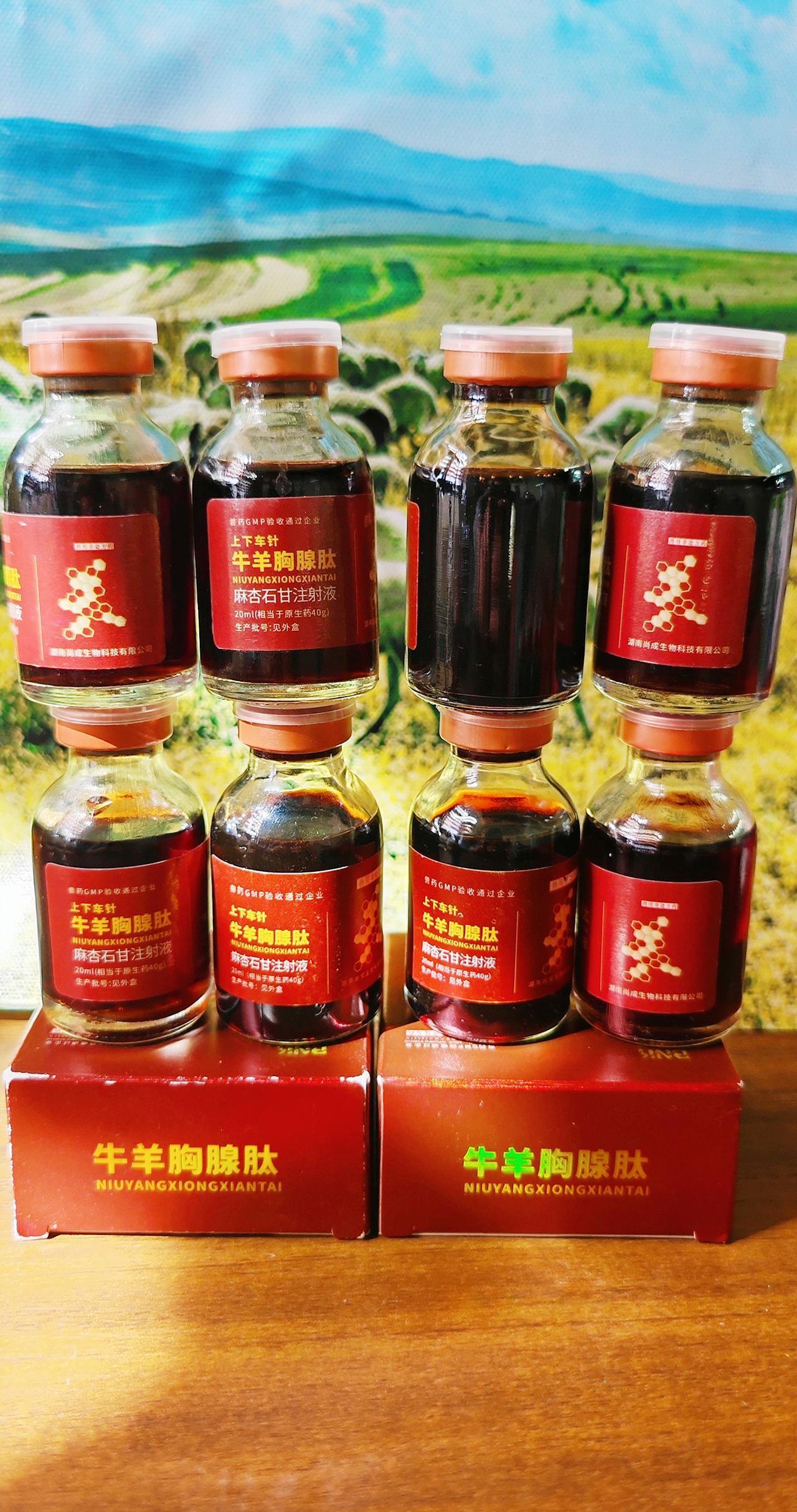 养羊人农村养羊牛羊养殖