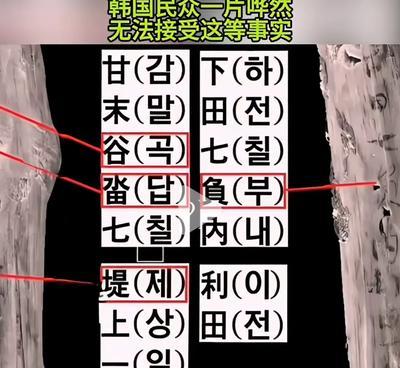 侮辱性极强！韩国考古队在庆尚北道挖出来的木简，上面94个汉字让整个学界吵翻了天。