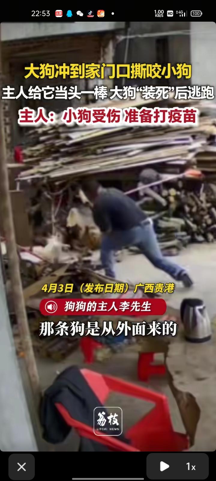 4月2日，广西贵港。网友发布监控视频，一条大狗冲到自家门口撕咬小狗。父亲发现它后