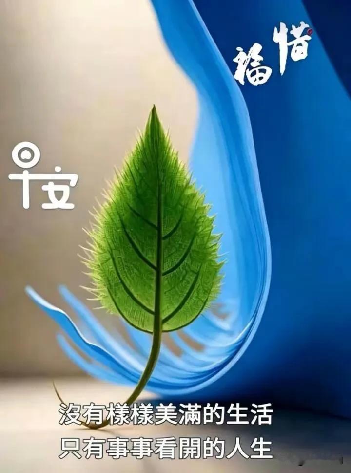 每一个清晨都是新起点，愿平安喜乐一直陪着你。