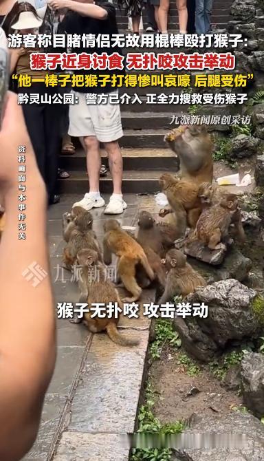 人与自然相处，最能体现一个人的素养。据6月3日报道，贵阳黔灵山公园，一只年幼