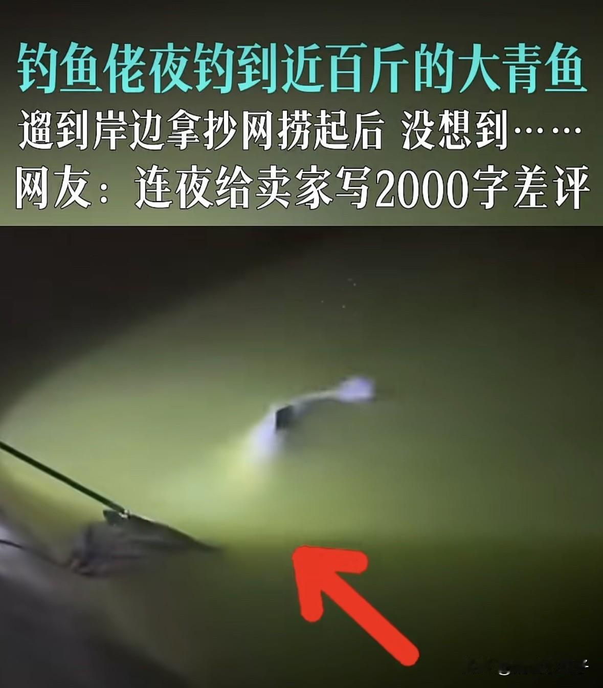这必须得连夜给卖家写2000字差评才解气一钓鱼佬夜钓时钓到一条近百斤的大青鱼，