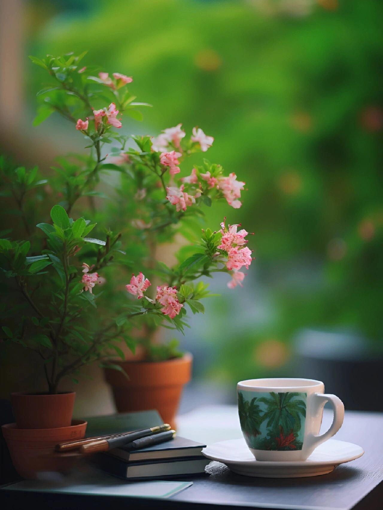 现在社会七个残酷真相其一，若想成为强者，就得学会逆自己的本性而行，顺应他人的