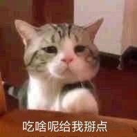完了，我今天11点就吃午饭，然后现在5点就饿了想吃晚饭这点，吃完，晚上9,10点