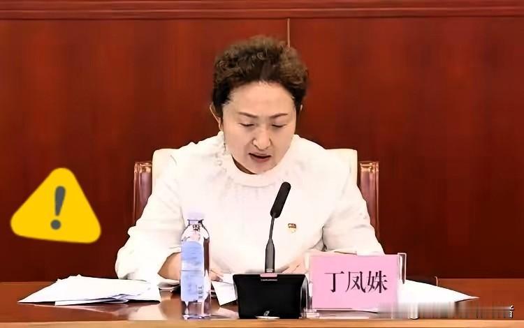 北方小年前夕的一条大鱼出水，这次是在哈尔滨，医疗领域的权威专家。丁凤姝气质出