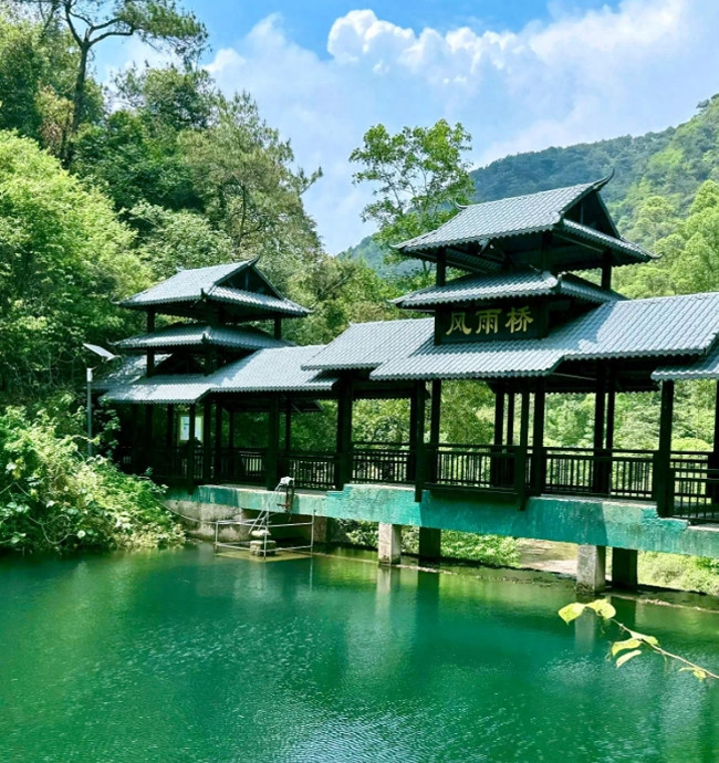 这真的是广东吗？！”上周末误闯肇庆紫云谷，我直接被这片秘境美到失语！翡翠般