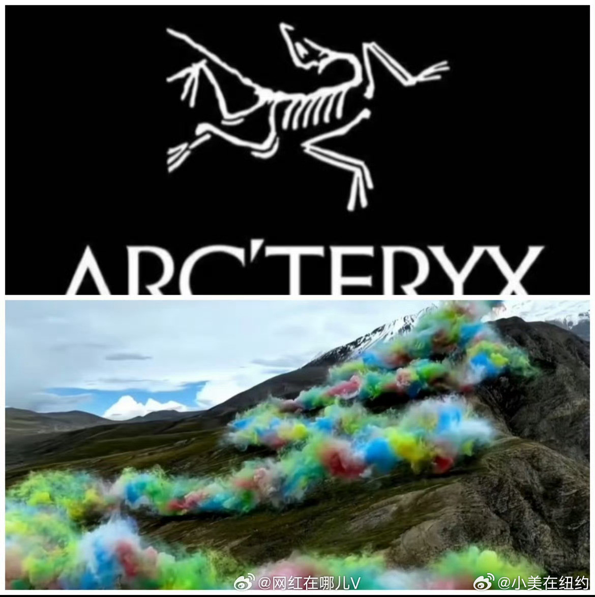 现在知道始祖鸟logo的含义了了，原来这只鸟，炸死后只剩骨头🦴了​​​