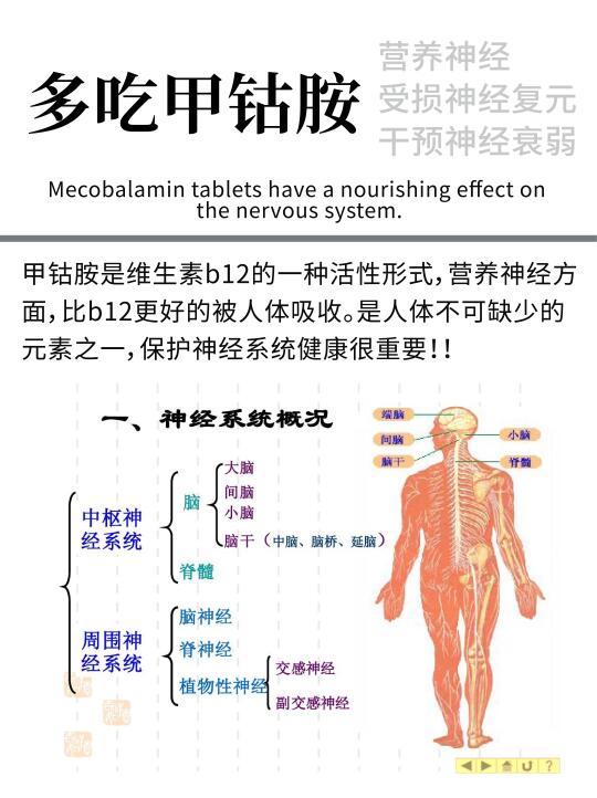 甲钴胺吃多久受损神经能复元？解答篇