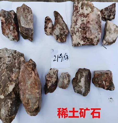 不让光刻机进中国，可以；把中国踢出国际空间站，可以；给中国电动车加100%的关税
