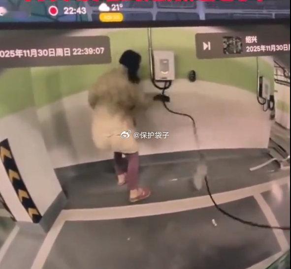女子持刀砍断新能源汽车充电线浙江女子拿菜刀砍充电桩有点虎…很久之前，就在疑惑：有