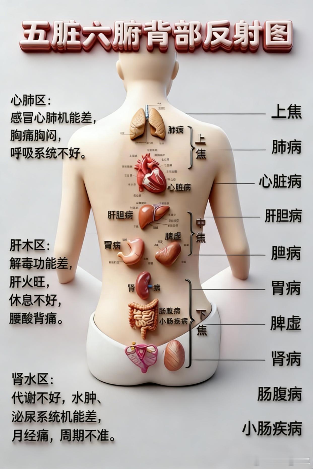 人活着，靠的是“气”在走；治病，靠的是“气”在通。气顺了，病自然退；气乱了，再